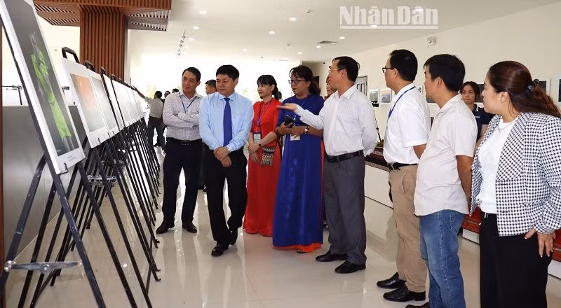 Các đại biểu tham quan triển lãm nghệ thuật.