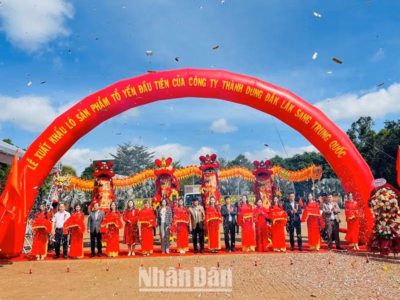 Các đại biểu cắt băng xuất khẩu chính ngạch lô sản phẩm tổ yến đầu tiên với sản lượng 400kg của Công ty cổ phần xuất nhập khẩu yến sào Thành Dung-Krông Pắc, tỉnh Đắk Lắk sang thị trường Trung Quốc.