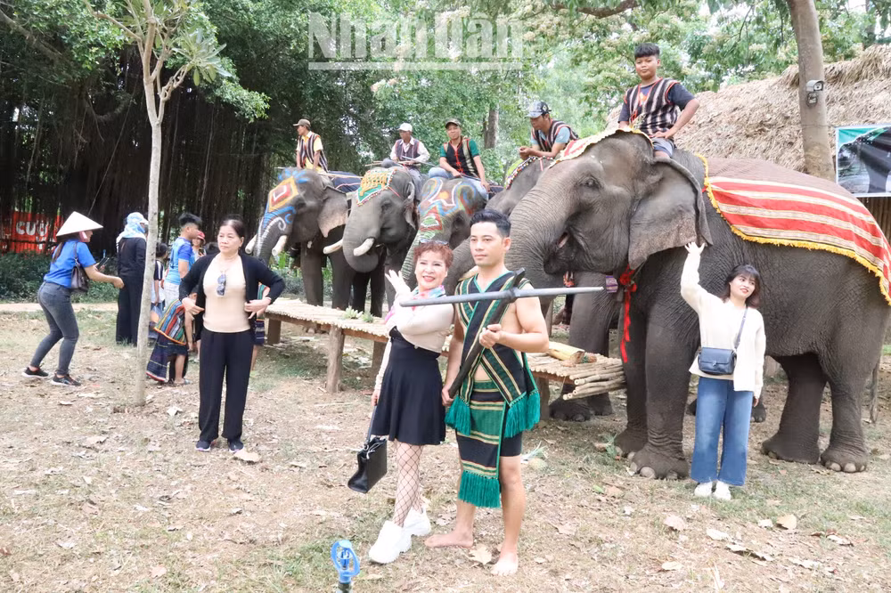 Du khách đến với Trung tâm Du lịch cầu treo Buôn Đôn đã quen dần với du lịch thân thiện với voi.