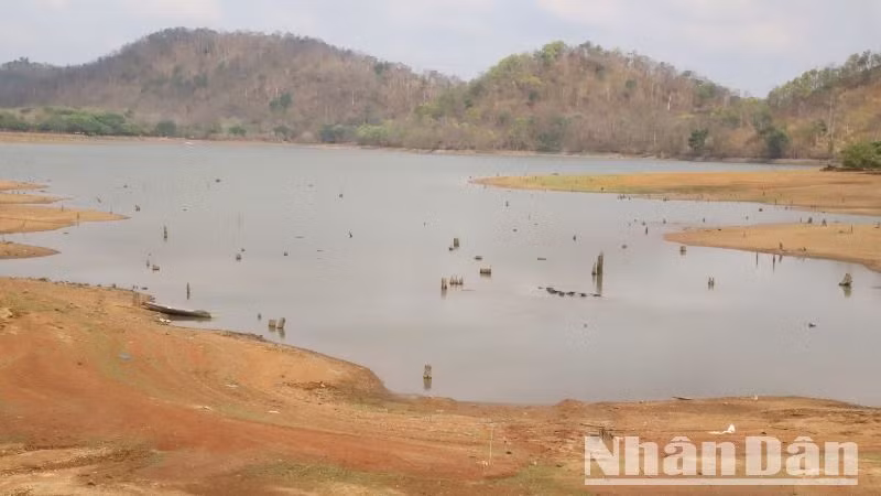 Một hồ chứa nước trên địa bàn huyện Buôn Đôn mực nước đã xuống thấp.