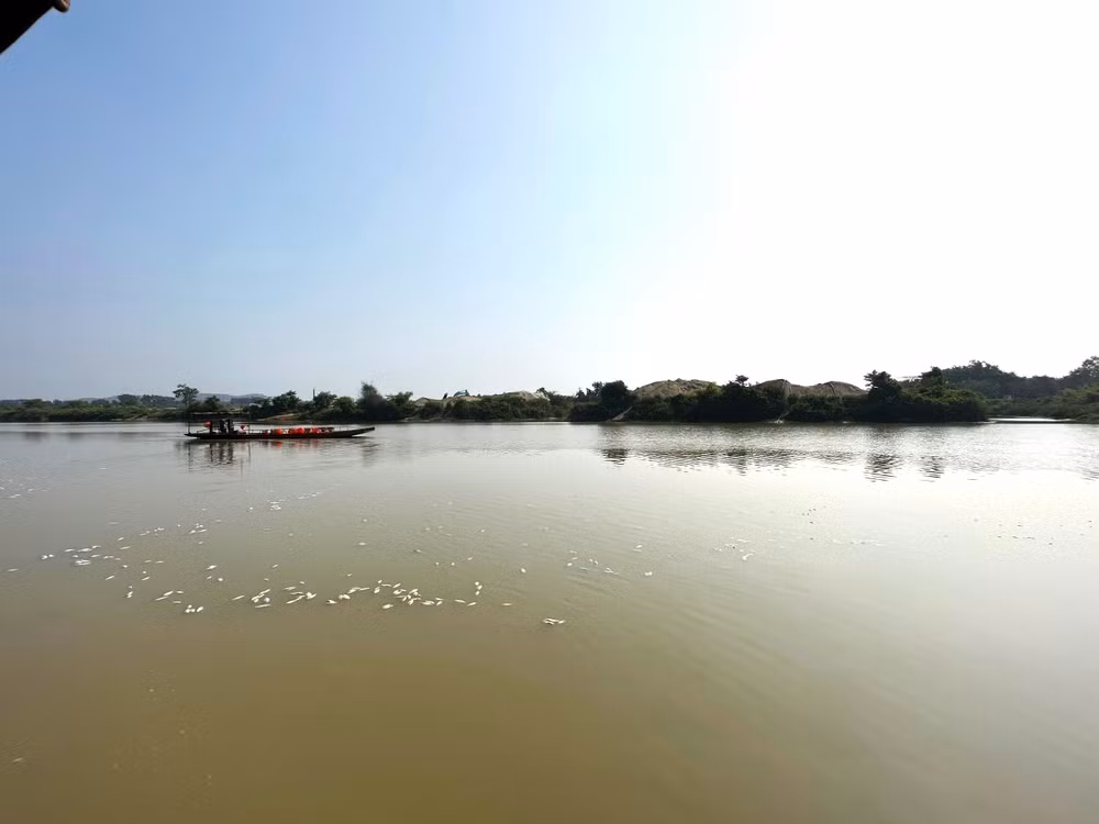 Cá chết trôi ra sông Sêrêpốk.