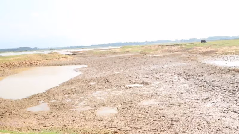 Những năm gần đây, do ảnh hưởng của biến đổi khí hậu, các hiện tượng thời tiết cực đoan như hạn hán kéo dài gây thiệt hại nặng nề cho sản xuất nông nghiệp của tỉnh.