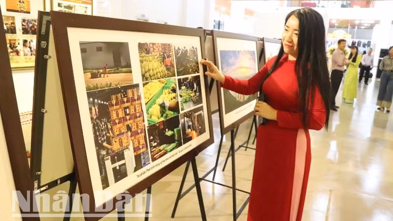 Du khách thăm quan hình ảnh những thành tựu của Đắk Lắk sau 50 năm xây dựng và phát triển. Du khách thăm quan hình ảnh những thành tựu của Đắk Lắk sau 50 năm xây dựng và phát triển.