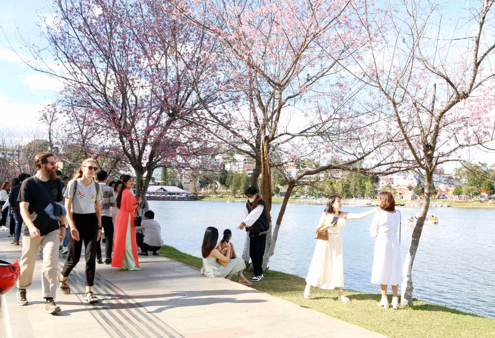 Du khách trải nghiệm mùa xuân phố núi Đà Lạt. (Ảnh: MAI VĂN BẢO)