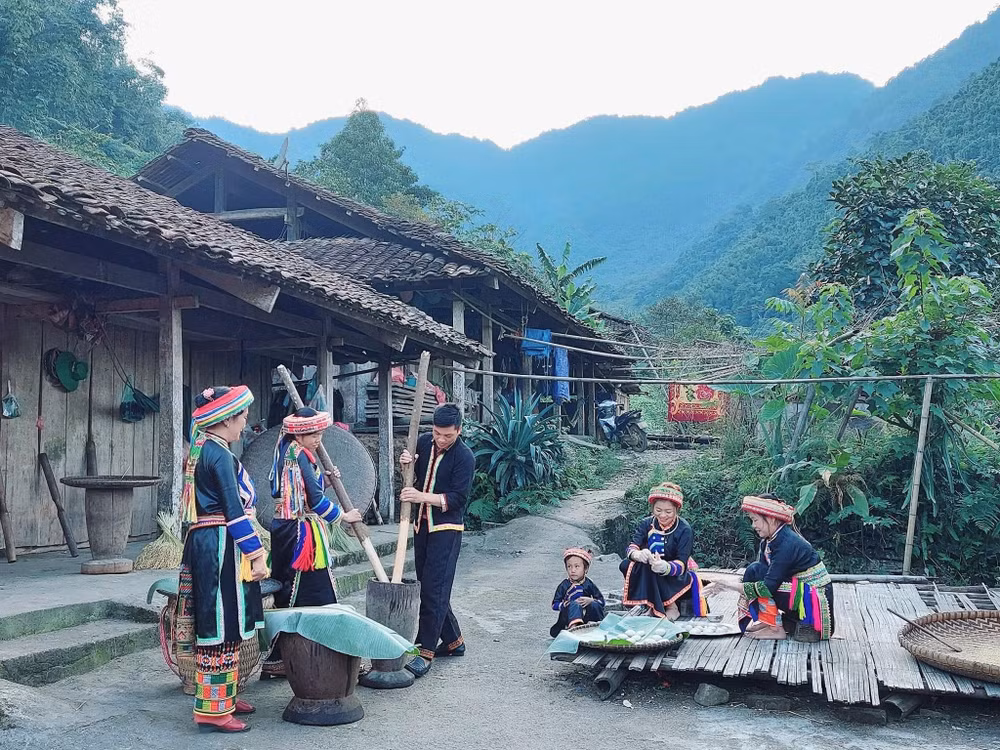 Đồng bào dân tộc Dao ở xã Yến Dương, huyện Ba Bể, tỉnh Bắc Kạn làm cốm. (Ảnh: MA NINH)