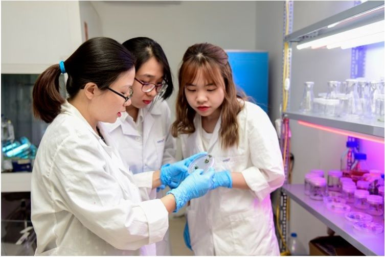 Tiến sĩ Tô Thị Mai Hương (ngoài cùng bên trái) trao đổi với các cộng sự trong nhóm nghiên cứu.