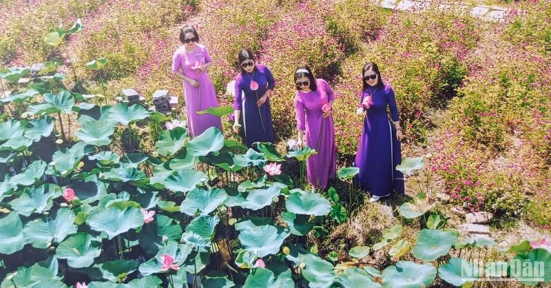 Tác phẩm "Sắc thắm mùa hoa" của tác giả Quang Thọ.