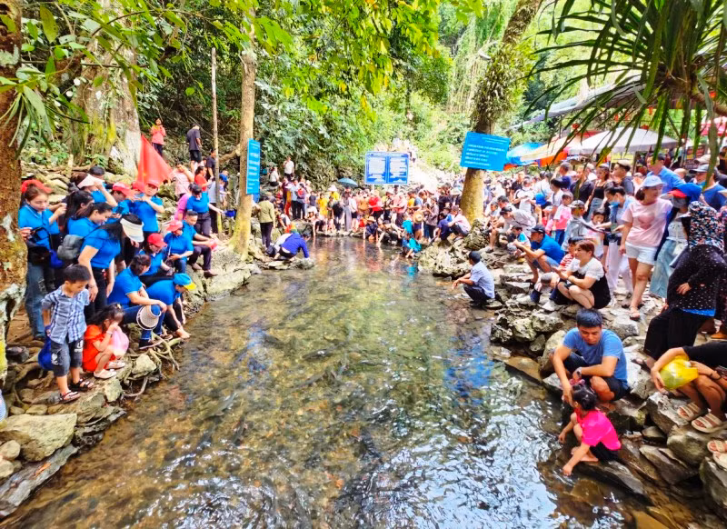 Suối cá Cẩm Lương, điểm đến của du khách.