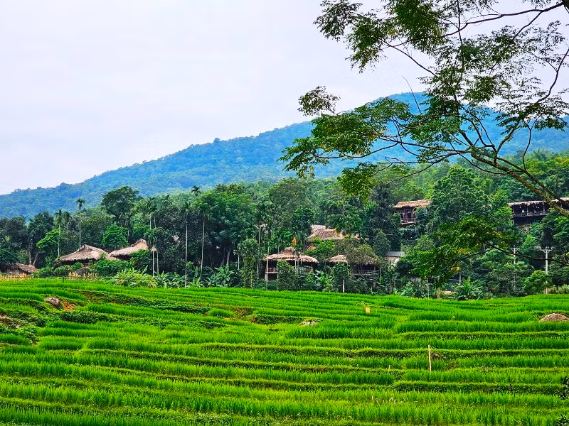 Ruộng bậc thang ở bản Đôn, huyện Bá Thước, tỉnh Thanh Hóa.
