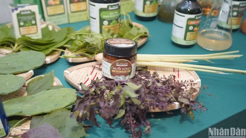 Sản phẩm muối xông trong bộ sản phẩm mới của BioHealth.