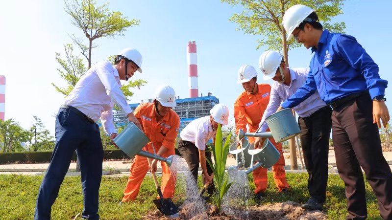 Công ty luôn chú trọng công tác bảo vệ môi trường, tạo mảng xanh trong khuôn viên nhà máy.