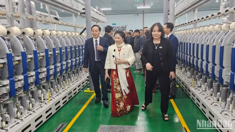 Công ty cổ phần đầu tư xuất nhập khẩu Thăng Long đang trở thành doanh nghiệp hoạt động đa ngành, đa lĩnh vực rất hiệu quả của tỉnh Thái Bình.