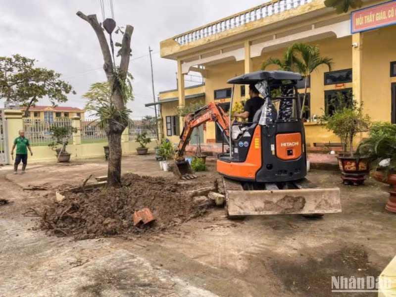 Trường tiểu học và trung học cơ sở Quỳnh Thọ (huyện Quỳnh Phụ, tỉnh Thái Bình) đã tái thiết trở lại cơ sở vật chất bị hư hỏng sau bão số 3.