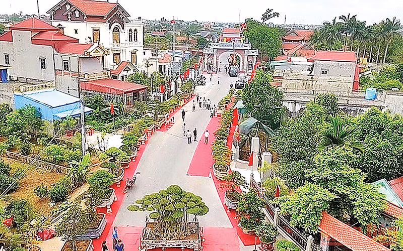 Làng vườn Bách Thuận (huyện Vũ Thư) hướng đến du lịch xanh.