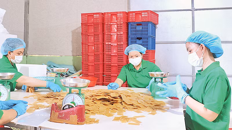 Sản phẩm bánh phồng tôm tại Công ty cổ phần xuất nhập khẩu Vĩnh Hòa Phát.