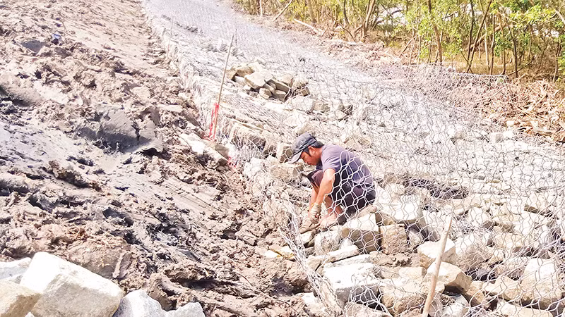 Khẩn trương thi công kè chân đê, nơi không còn rừng phòng hộ, đoạn Đá Bạc-Kinh Mới, xã Khánh Bình Tây, huyện Trần Văn Thời.