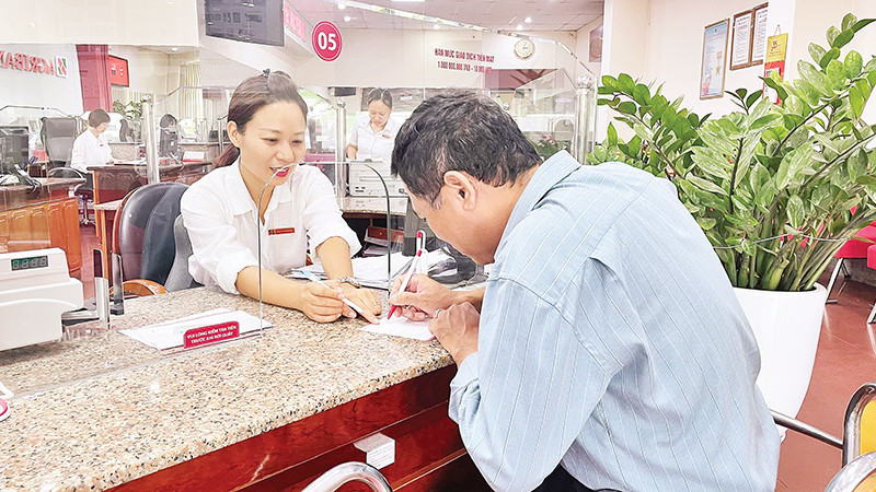 Agribank hỗ trợ vốn tín dụng cho các hộ nông dân, hợp tác xã sản xuất các sản phẩm nông nghiệp an toàn. (Ảnh ANH TUẤN)