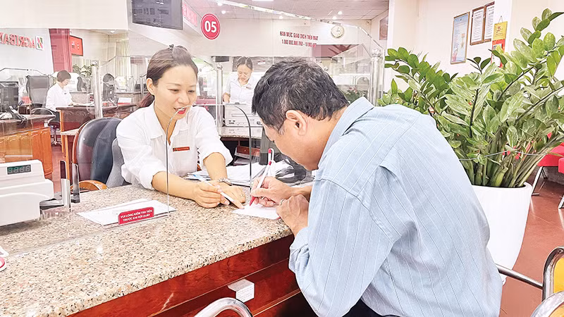 Agribank hỗ trợ vốn tín dụng cho các hộ nông dân, hợp tác xã sản xuất các sản phẩm nông nghiệp an toàn. (Ảnh ANH TUẤN)