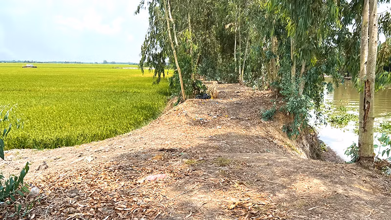 Tuyến đường có đoạn thưa thớt nhà dân.