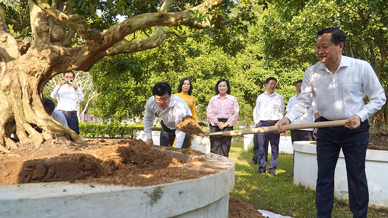 Phó Thủ tướng Lê Minh Khái trồng cây lưu niệm tại Khu di tích Nguyễn Sinh Sắc. Ảnh: HỮU NGHĨA