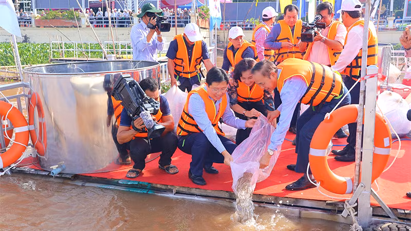 Đại biểu tham gia thả cá giống xuống sông Tiền với mục tiêu tái tạo nguồn lợi thủy sản.