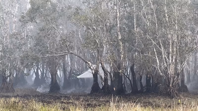 Lực lượng chức năng tích cực chữa cháy.