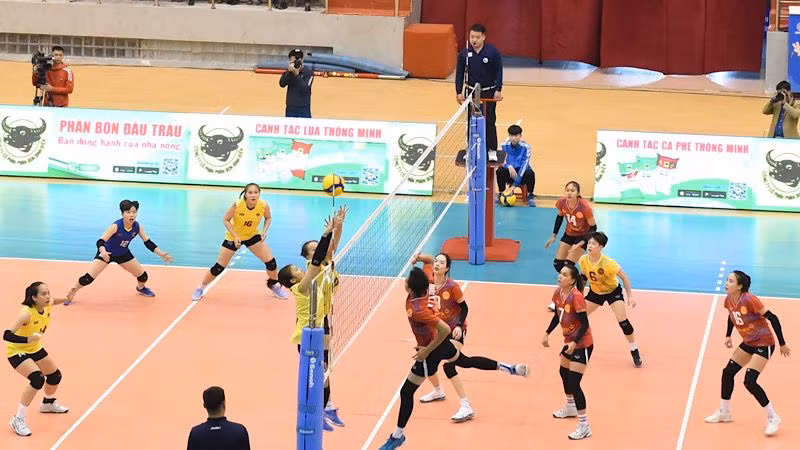 Một pha bóng trong trận nữ Ninh Bình LP Bank (áo đỏ) gặp nữ VTV Bình Điền Long An (áo vàng). Ảnh: XUÂN TRƯỜNG