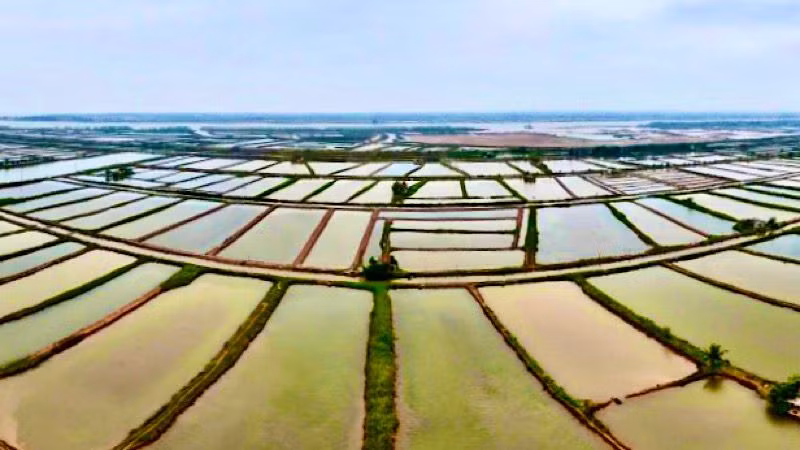 Khu vực Cồn Xanh, huyện Nghĩa Hưng (Nam Định) thu hút các dự án của Tập đoàn Xuân Thiện, hiện đang vướng mắc về giải phóng mặt bằng.