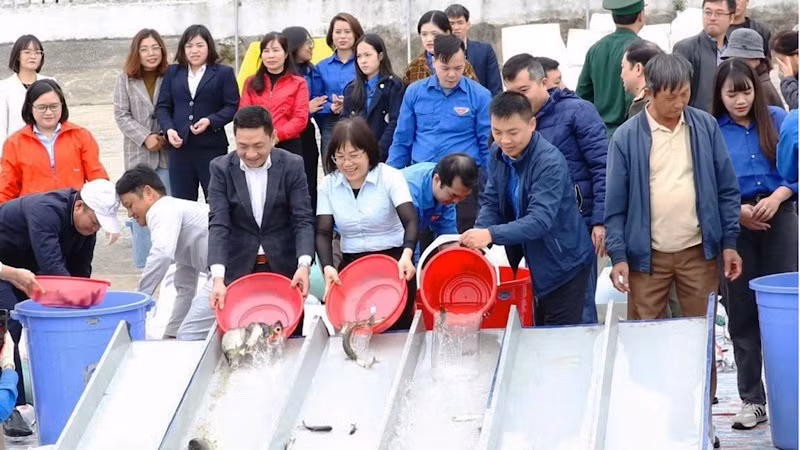 Các đại biểu dự Lễ phát động thả con giống thủy sản các loại xuống sông Hồng đoạn qua địa bàn xã Mỹ Tân, thành phố Nam Định, tỉnh Nam Định.