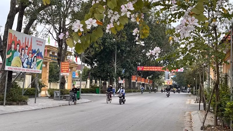 Diện mạo tươi mới ở Ninh Mỹ - xã nông thôn mới kiểu mẫu của huyện Hoa Lư, tỉnh Ninh Bình. (Ảnh: LÊ HỒNG)