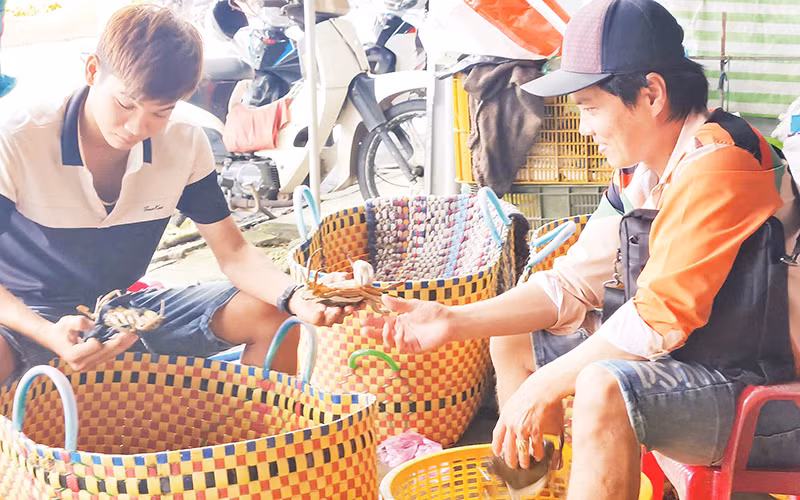 Chợ "đấu giá cua" cạnh dốc cầu Vĩnh Thuận thường xuyên có hơn 40 thương lái đến mua cua của nông dân.