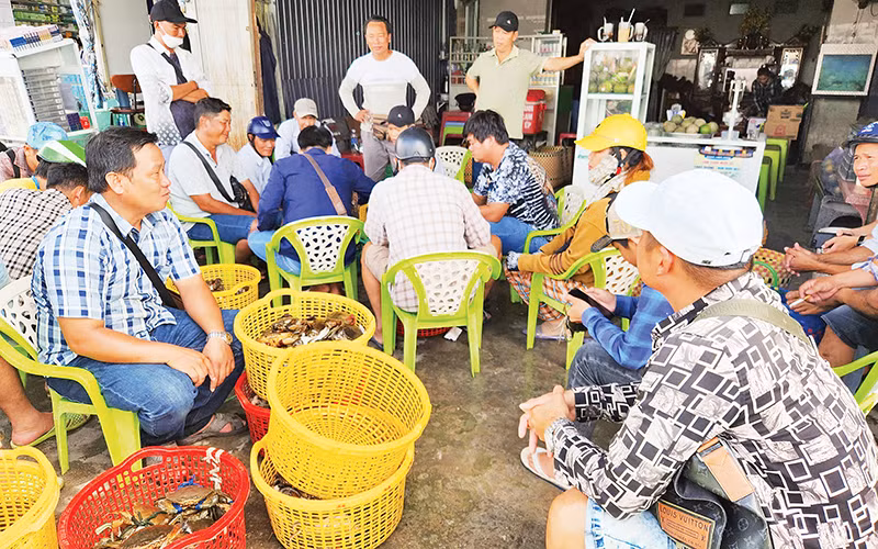 Chợ "đấu giá cua" cạnh dốc cầu Vĩnh Thuận thường xuyên có hơn 40 thương lái đến mua cua của nông dân.