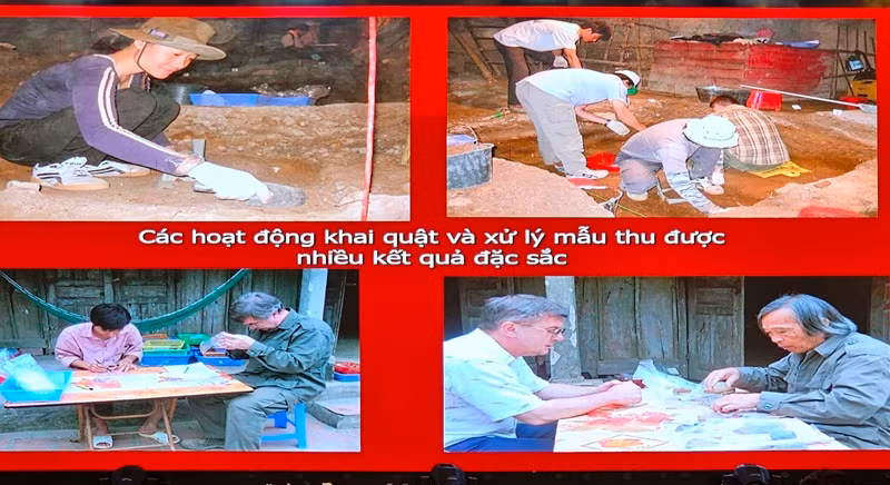 Hoạt động khai quật khảo cổ học và xử lý mẫu vật.