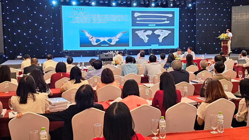 Dấu tích về người tiền sử phát hiện tại hang Con Moong ở Thanh Hóa.