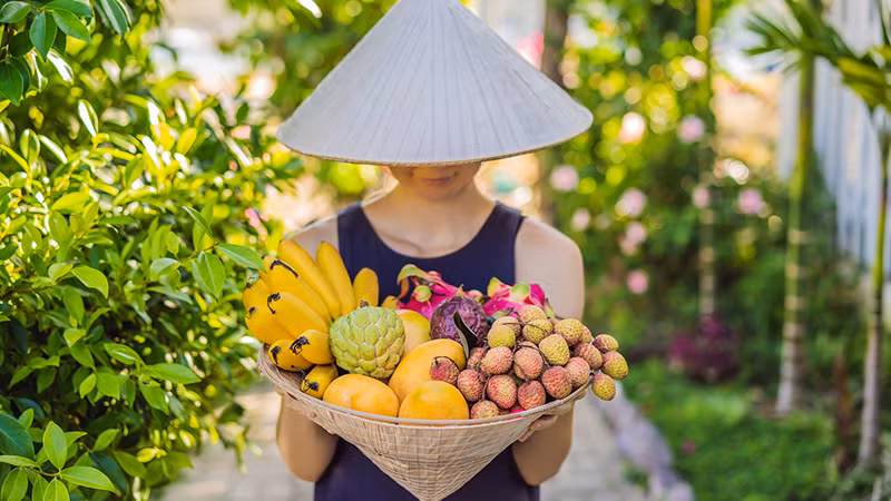 Ảnh quảng cáo du lịch Việt Nam của công ty lữ hành Nga Margput.