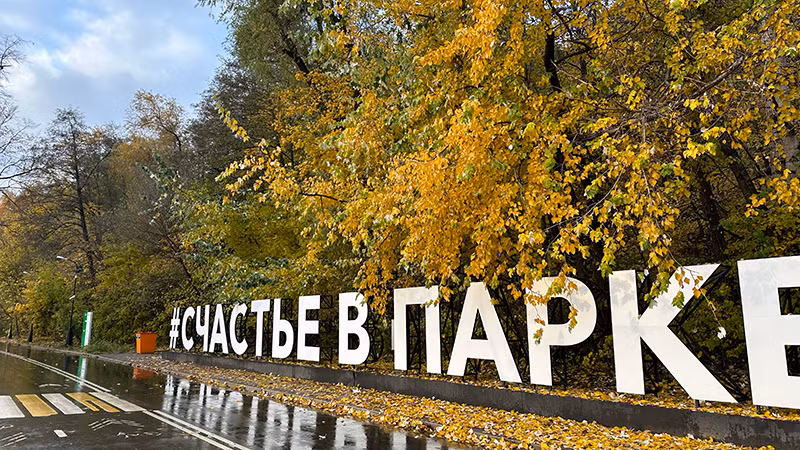 Công viên hạnh phúc ngập tràn sắc vàng của hàng trăm loài cây cỏ. Công viên hạnh phúc ngập tràn sắc vàng của hàng trăm loài cây cỏ.