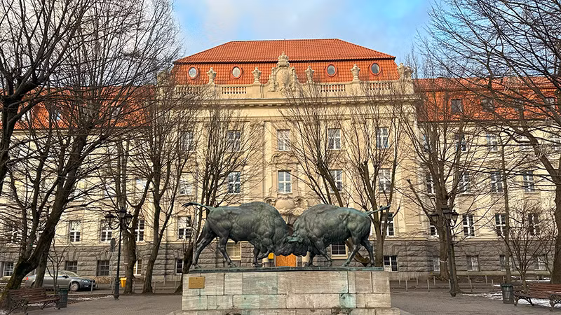 Tác phẩm điêu khắc “Bò rừng chiến đấu” (Wrestling Bisons) là tác phẩm của nhà điêu khắc động vật nổi tiếng thế giới người Đức August Gaul (1869-1921) đầu thế kỷ 20. Bức tượng này được đặt trước Tòa án tối cao Königsberg của Đông Phổ nay là Trường đại học Kỹ thuật Bang Kaliningrad. Wrestling Bisons là một trong những điểm di sản văn hóa của Kaliningrad, có ý nghĩa lịch sử, văn hóa quan trọng trong khu vực và được nhà nước Liên bang Nga bảo vệ. Tác phẩm điêu khắc “Bò rừng chiến đấu” (Wrestling Bisons) là tác phẩm của nhà điêu khắc động vật nổi tiếng thế giới người Đức August Gaul (1869-1921) đầu thế kỷ 20. Bức tượng này được đặt trước Tòa án tối cao Königsberg của Đông Phổ nay là Trường đại học Kỹ thuật Bang Kaliningrad. Wrestling Bisons là một trong những điểm di sản văn hóa của Kaliningrad, có ý nghĩa lịch sử, văn hóa quan trọng trong khu vực và được nhà nước Liên bang Nga bảo vệ.