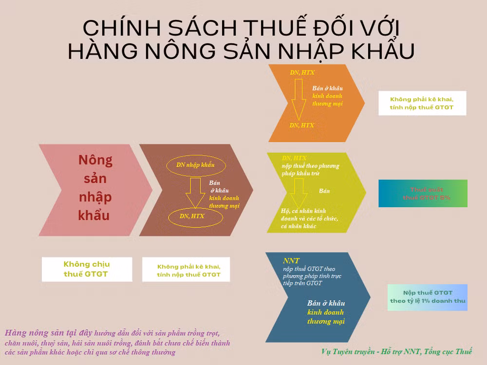 (Ảnh: Tổng cục Thuế)