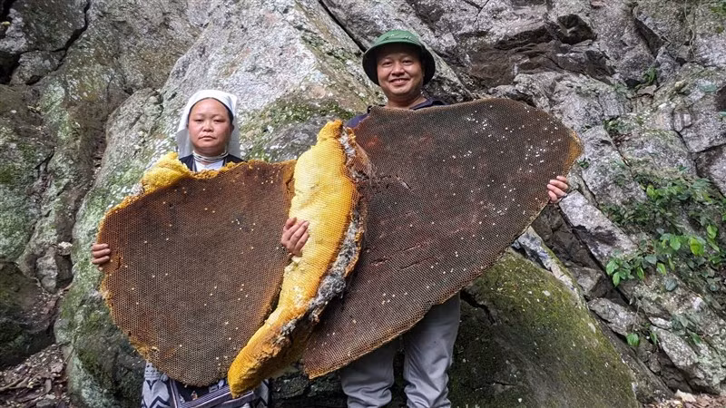 Du khách thích thú bên những tấm sáp ong có kích thước lớn.