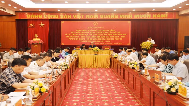 Quang cảnh buổi giám sát.