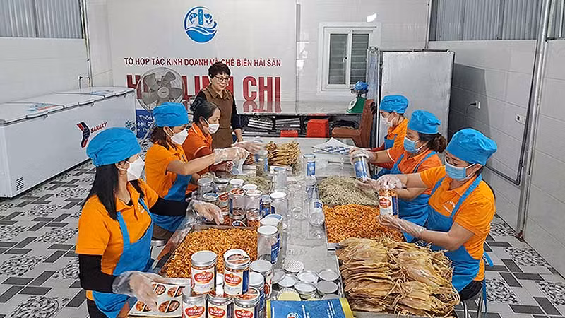 Dây chuyền sản xuất của Hợp tác xã Chế biến và kinh doanh hải sản Hoa Linh Chi (huyện Nghi Xuân, tỉnh Hà Tĩnh). (Ảnh HŨU TRUNG)