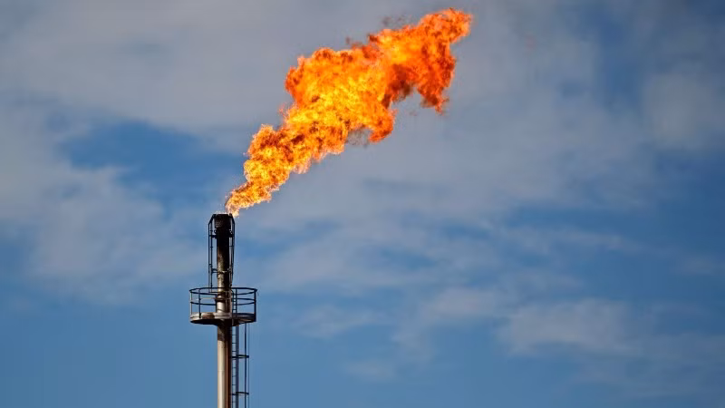 Ảnh minh họa. (Nguồn: AFP/TTXVN)