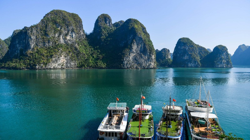 Ảnh minh họa: THÀNH ĐẠT