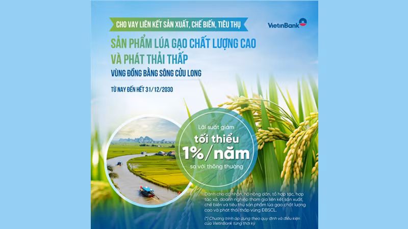 VietinBank cho vay ưu đãi, phát triển nông nghiệp bền vững vùng Đồng bằng sông Cửu Long