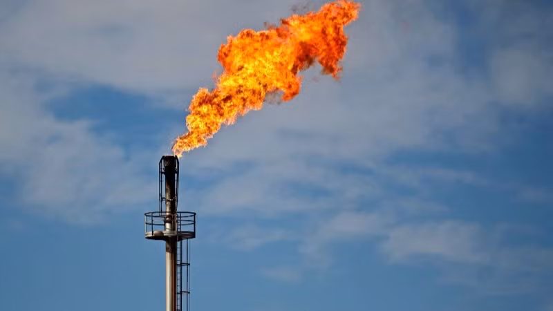 Ảnh minh họa. (Nguồn : AFP/TTXVN)