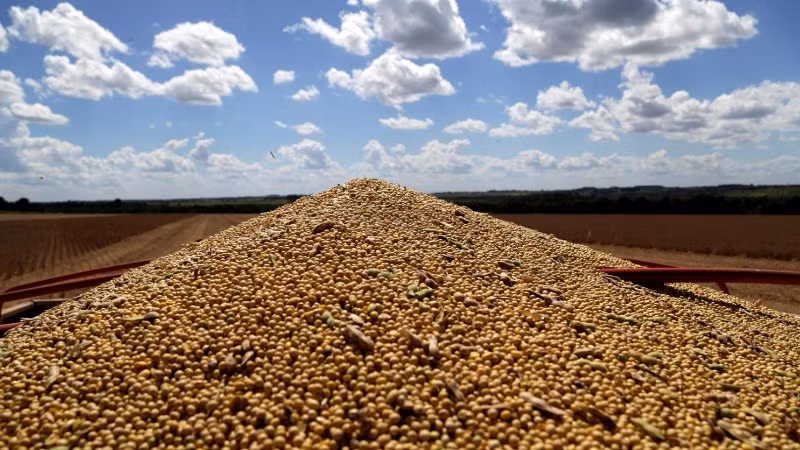 Ảnh minh họa. (Nguồn: TTXVN/Reuters)