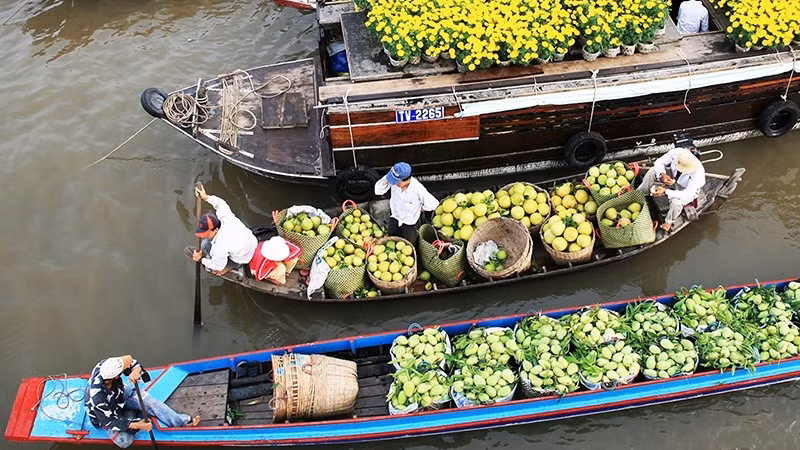 Hoạt động mua bán trái cây ở miệt vườn sông nước Nam Bộ luôn hấp dẫn du khách. (Ảnh: NGỌC MAI)