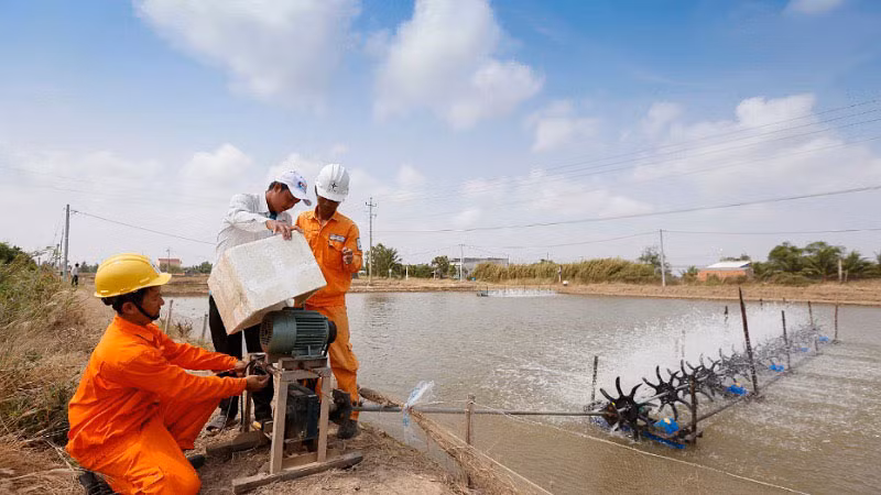 Nhân viên điện lực hướng dẫn người dân nuôi tôm sử dụng thiết bị điện đúng cách để tiết kiệm điện.