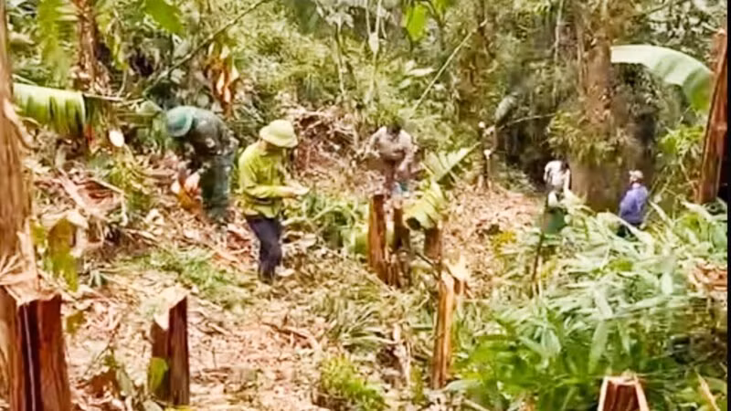 Các lực lượng huyện Định Hóa phát đường băng, khoanh vùng khống chế đám cháy rừng.