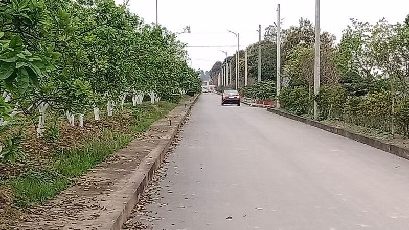 Nghĩa trang sinh thái Ngân Hà Viên được đầu tư xây dựng khang trang, nhiều cây xanh.